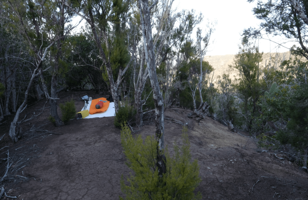 GR 131 La Gomera
Wandern La Gomera
Wanderweg GR 131
Vallehermoso nach San Sebastian
Wanderbericht La Gomera
Höhenmeter GR 131
Nebelwald La Gomera
Urwald La Gomera
Wandertour La Gomera
La Gomera Wandertipps
Schlafplätze GR 131
Ziegengulasch Bar Amparo
Trekking La Gomera
Wanderroute GR 131
Wandern Kanarische Inseln