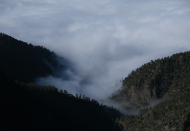 Wandern auf La Palma GR 131 La Palma Erfahrung GR 131 Wandern Ruta de los Volcanes Wandern auf den Kanarischen Inseln Wanderblog La Palma GR 131 Teneriffa Wandererfahrungen Kanarische Inseln