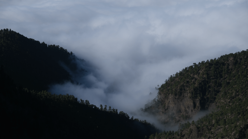 Wandern auf La Palma GR 131 La Palma Erfahrung GR 131 Wandern Ruta de los Volcanes Wandern auf den Kanarischen Inseln Wanderblog La Palma GR 131 Teneriffa Wandererfahrungen Kanarische Inseln