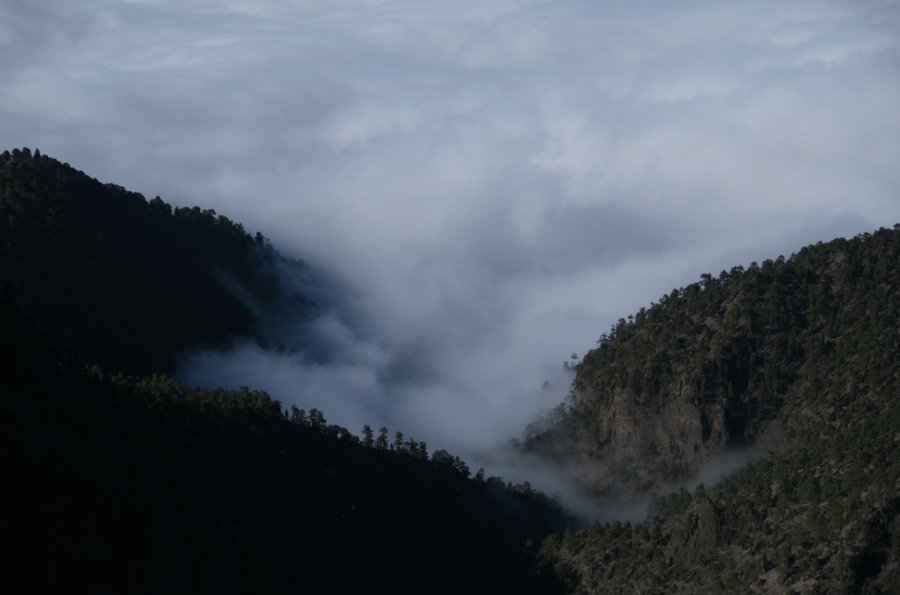 Wandern auf La Palma GR 131 La Palma Erfahrung GR 131 Wandern Ruta de los Volcanes Wandern auf den Kanarischen Inseln Wanderblog La Palma GR 131 Teneriffa Wandererfahrungen Kanarische Inseln