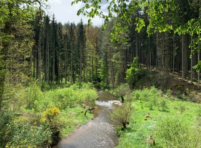 bach auf dem eifelsteig im wald beim wandern in nrw