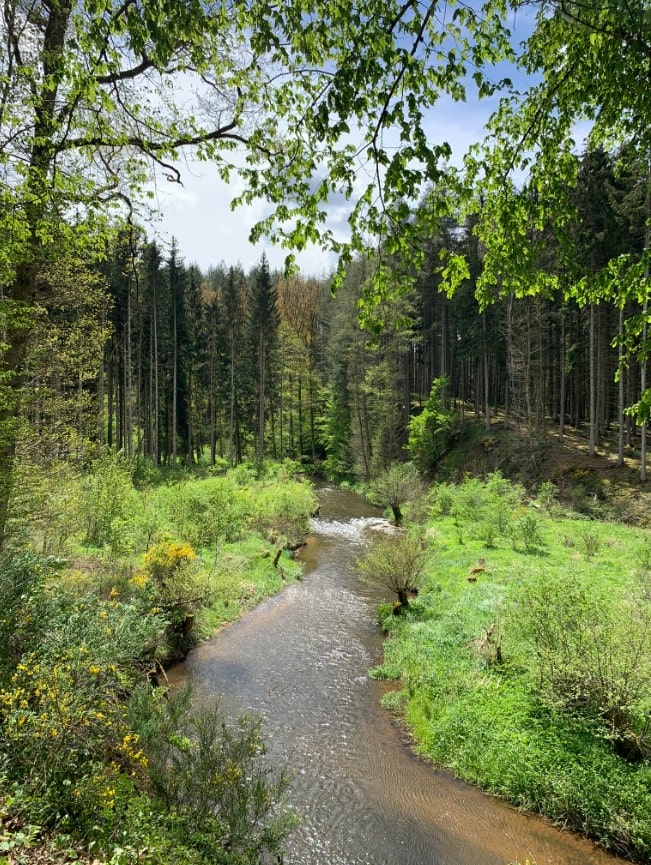 bach auf dem eifelsteig im wald beim wandern in nrw