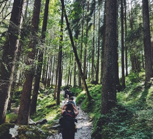 group thru hiking in the woods