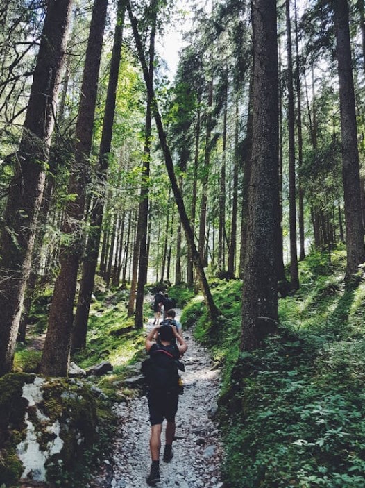 group thru hiking in the woods