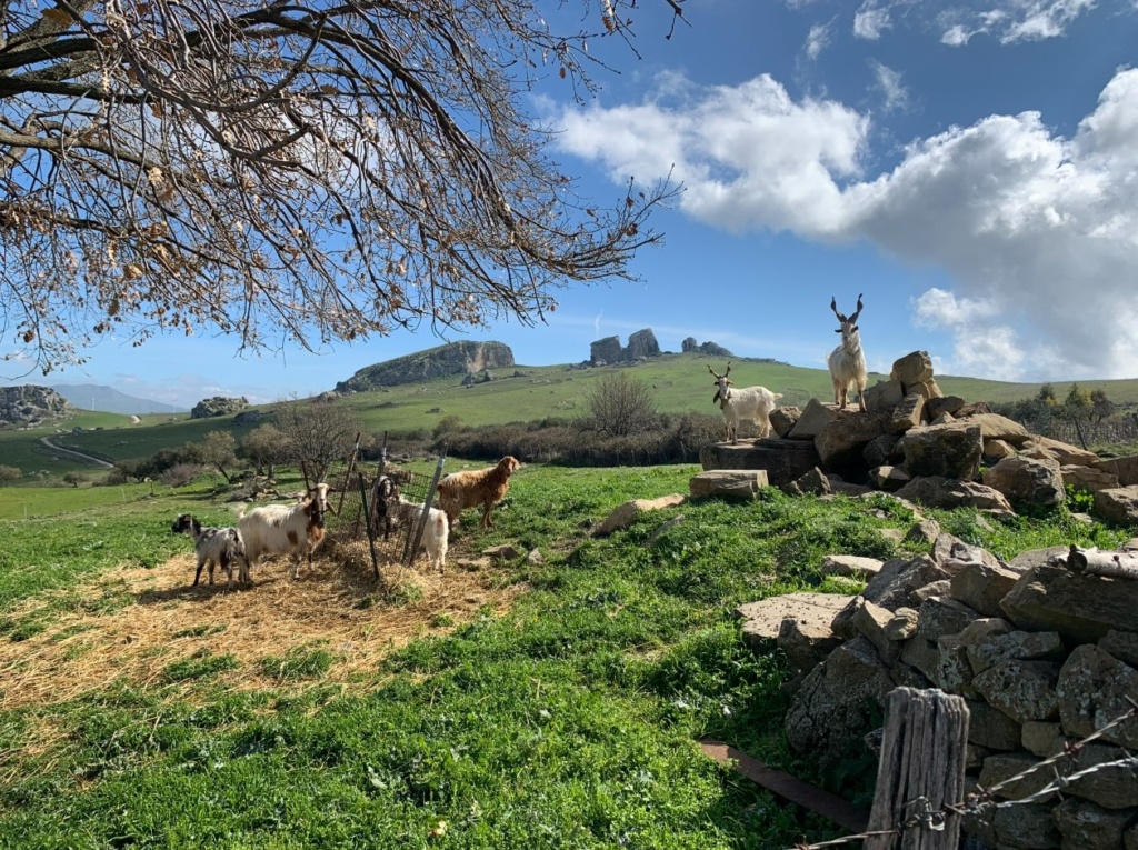 Magna Via Francigena